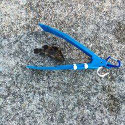 まだ陽はあります