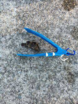 まだ陽はあります