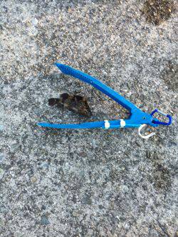 まだ陽はあります