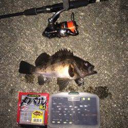 久々の20アップ！