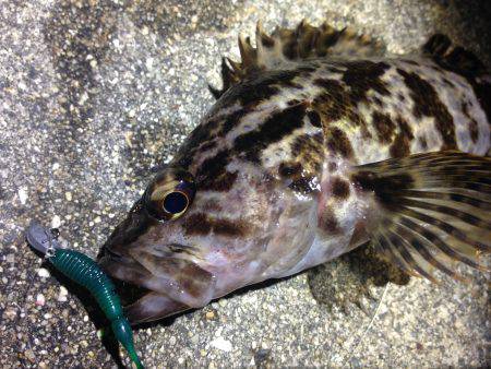 まだ、夜は冷えますね。寒い。