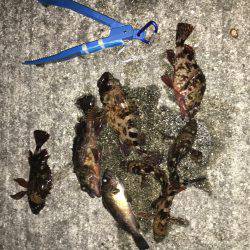 やっぱまだ寒い