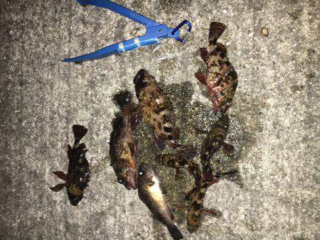 やっぱまだ寒い