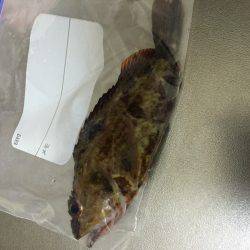 ライトライトライト