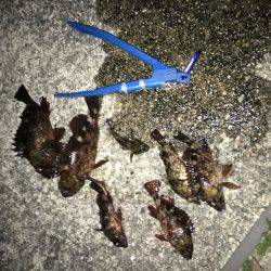 まだまだ寒いぞ