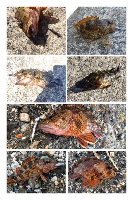 爆風ガシリング