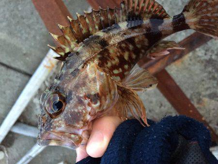 ライトライトライト