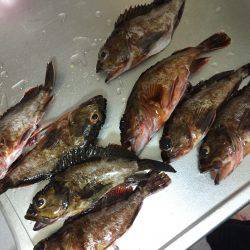 ラインラインライン