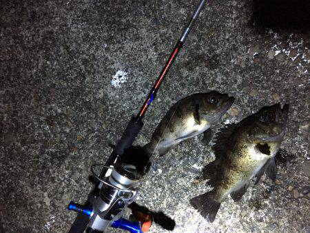 ついでにオカズでも釣って帰るかな(๑´ω`…