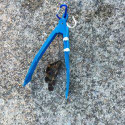 まだ陽はあります