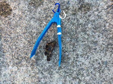 まだ陽はあります