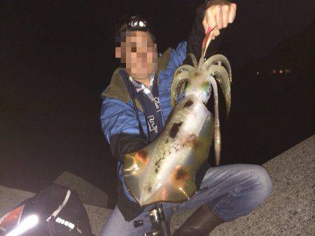 順調にシーズン到来です。