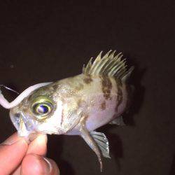 風を利用して〜