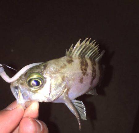 風を利用して〜