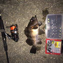 久々の20アップ！