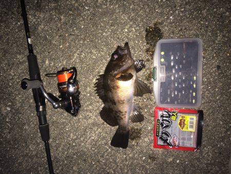 久々の20アップ！