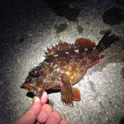 テンションフォールで入れ食い！！