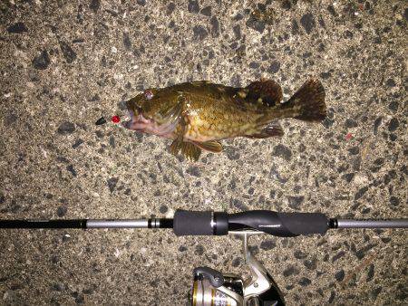 初めてのテキサスリグ