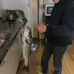 マイクロベイト