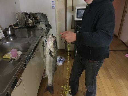 マイクロベイト