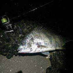 ストレス溜まる