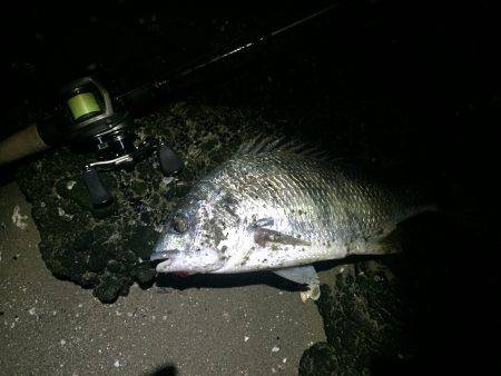 ストレス溜まる