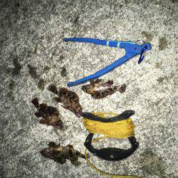 プラグは難しい