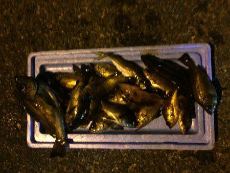 シークレットポイント メバリング