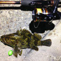 メーッチャ渋いやんか！