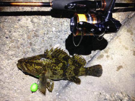 メーッチャ渋いやんか！