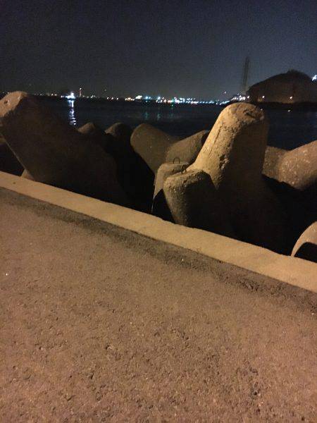 助松 メバル調査