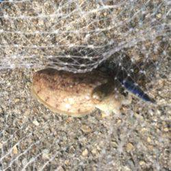 いい天気でした