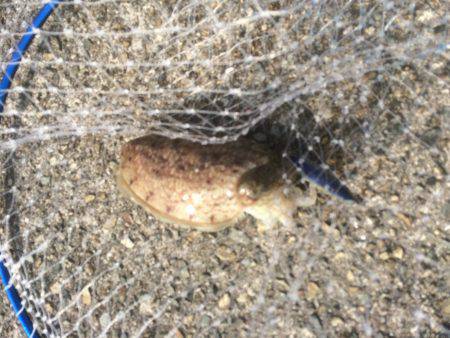 いい天気でした