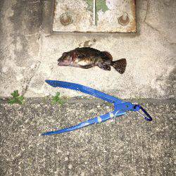 ガシリングをもっとメジャーに