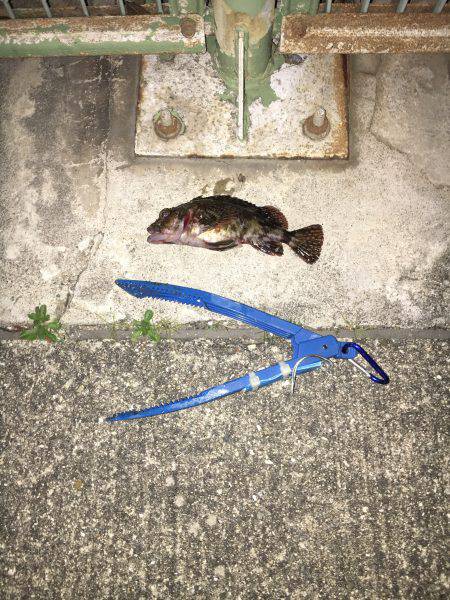 ガシリングをもっとメジャーに