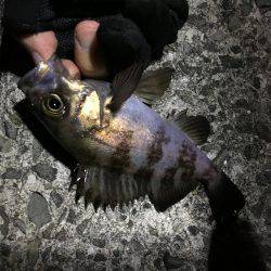 渋かったけどなんとか