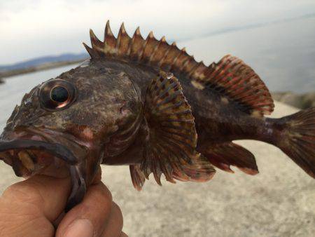 遠征ガシリング