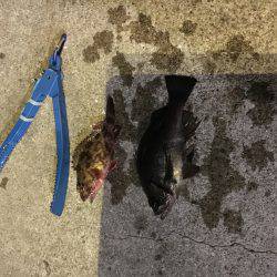 真冬の寒さです