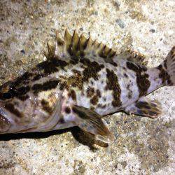 必殺！手作りジグ。