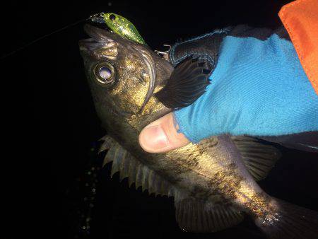 16ヴァンキッシュ入魂