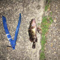 ガシリングでしょう