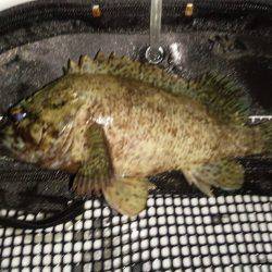 爆風のメバリンング