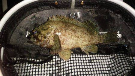 爆風のメバリンング