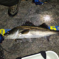 メーカーさんの釣り大会に行って来ました♪