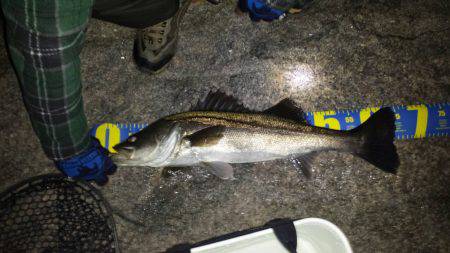 メーカーさんの釣り大会に行って来ました♪