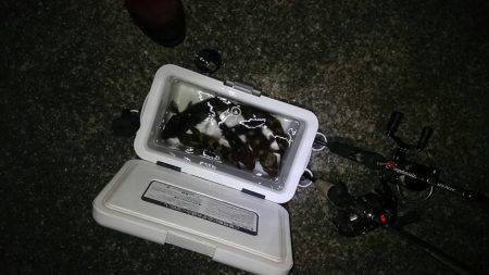 ガシリング入れ食い？