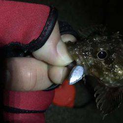 雨上がりコメバリング