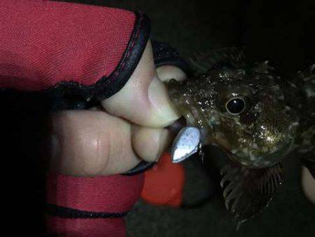 雨上がりコメバリング