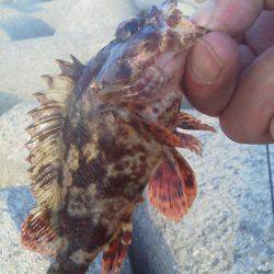 ちょこっと釣り