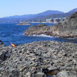 グレ3匹・・・・・イガミ1匹・・・・爆風・・・